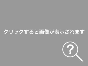 粘着シートにかかったネズミ。シートを二つ折にして死骸をはさめば、ネズミに触れずにシートごと捨てることができる。