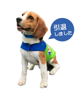 会社情報 探知犬チーム くんくんズ 探知犬チーム くんくんズ 株式会社アサンテ