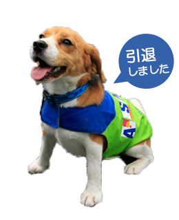 会社情報 探知犬チーム くんくんズ 探知犬チーム くんくんズ 株式会社アサンテ