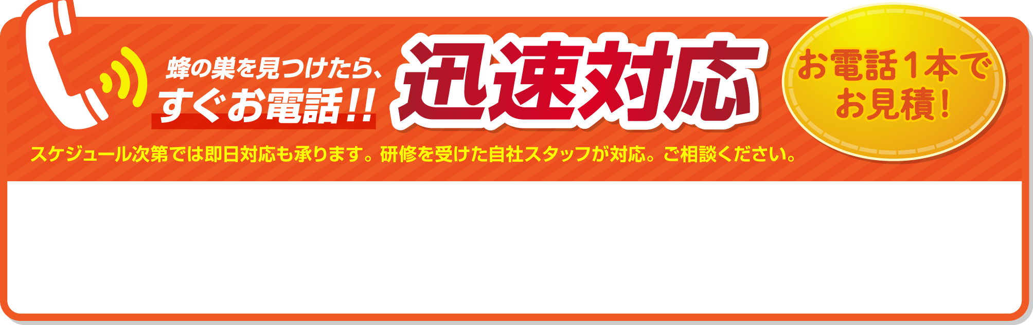 蜂の巣を見つけたら、すぐお電話！！迅速対応