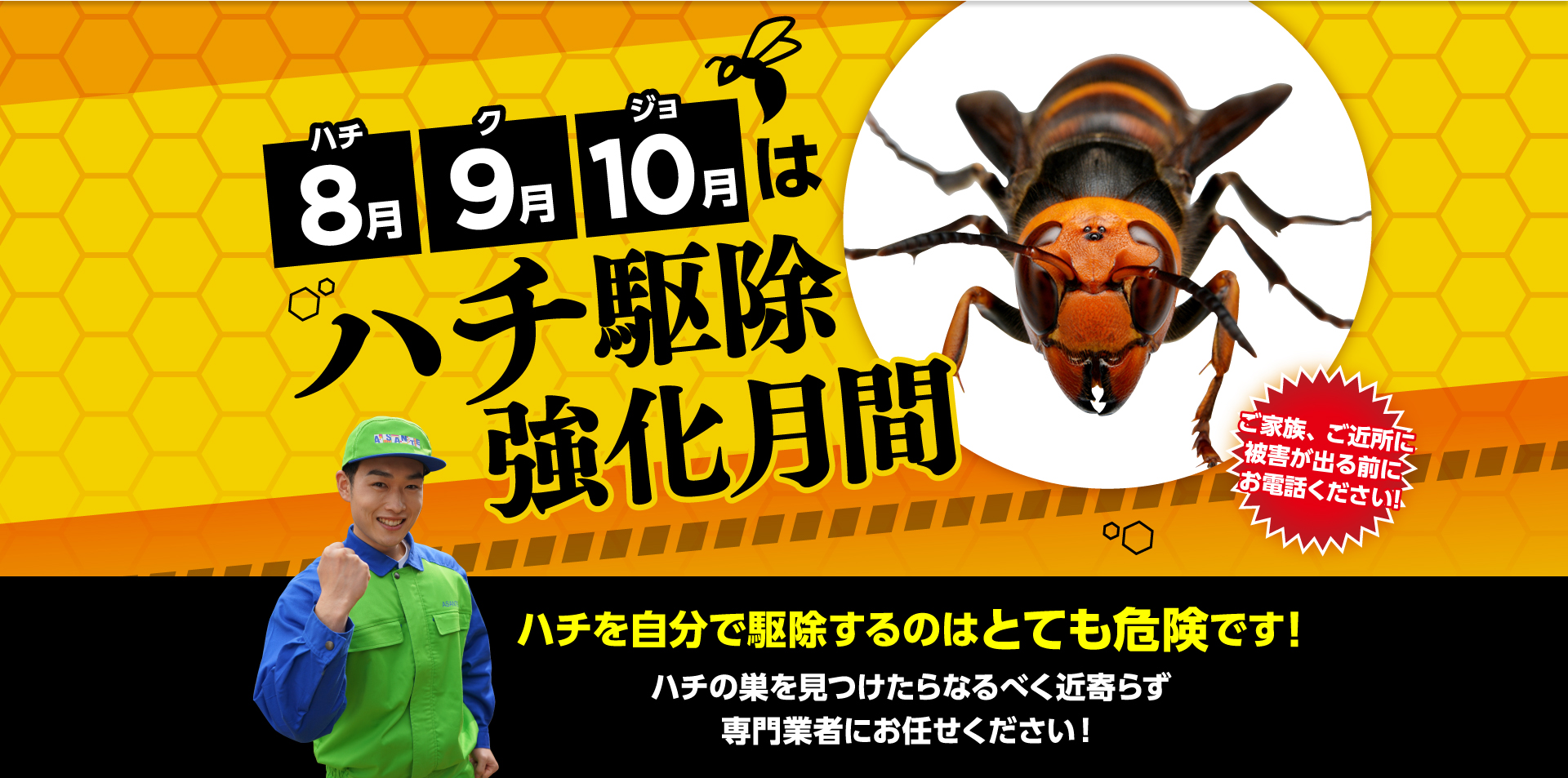 8月9月10月はハチ駆除強化期間 ハチを自分で駆除するのはとても危険です！ACCEL JAPAN アンバサダー ヒロミ