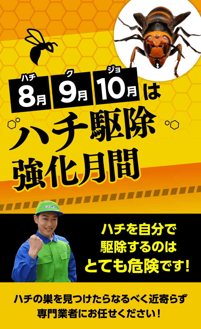 8月9月10月はハチ駆除強化期間 ハチを自分で駆除するのはとても危険です！ACCEL JAPAN アンバサダー ヒロミ