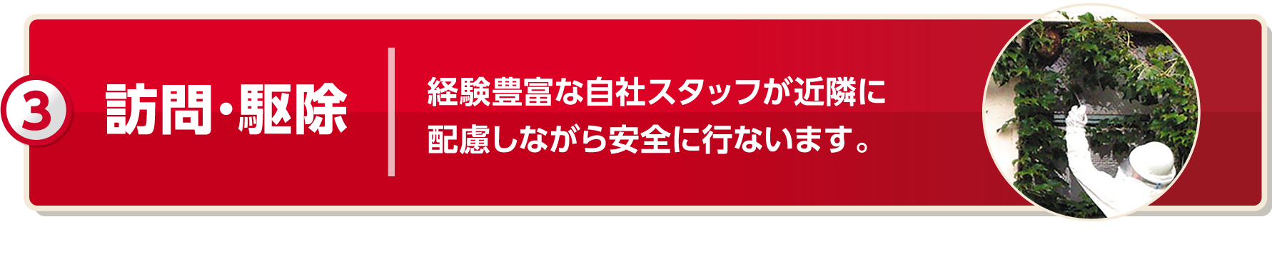 訪問・駆除 経験豊富な自社スタッフが近隣に配慮しながら安全に行います。