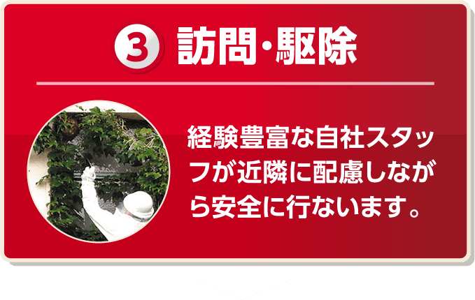 訪問・駆除 経験豊富な自社スタッフが近隣に配慮しながら安全に行います。