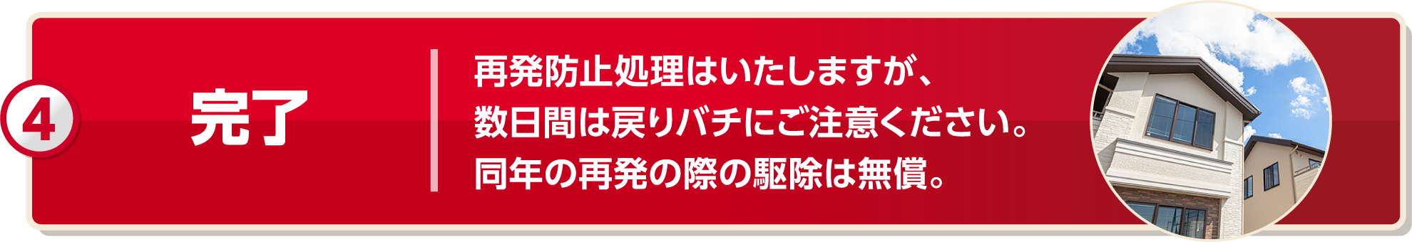 完了 再発防止処理は致しますが、数日間は戻りバチにご注意ください。同年の再発の際の駆除は無償。