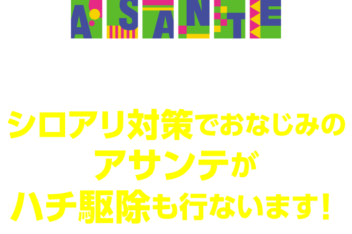 おかげさまで創業50周年 シロアリ対策でおなじみのアサンテがハチ駆除も行います！