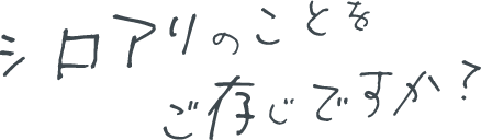 シロアリのことをご存知ですか？