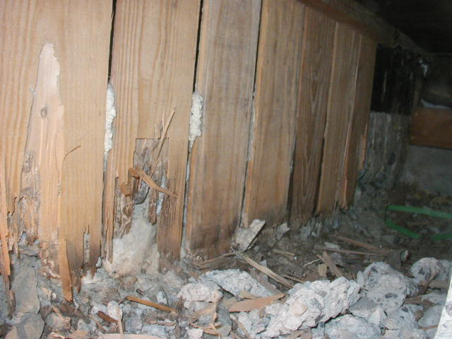 玄関土留め板の被害