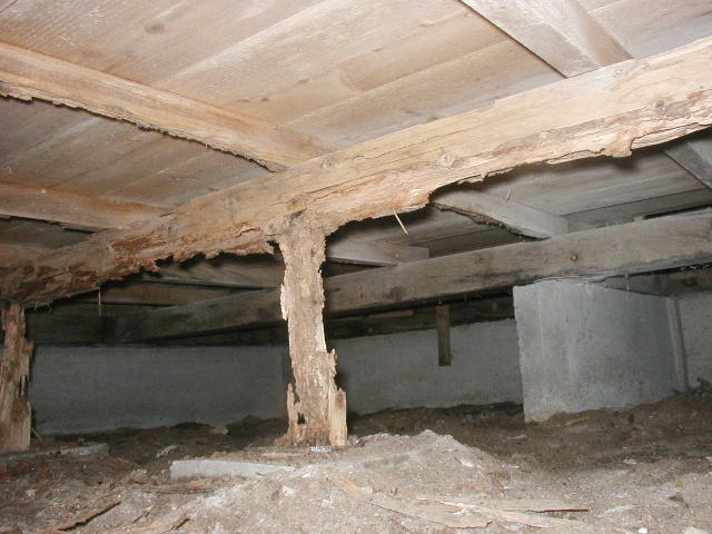 床下の被害の様子。床を支えている木材がボロボロになっている。