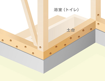 シロアリ駆除の基本処理【木部処理編】