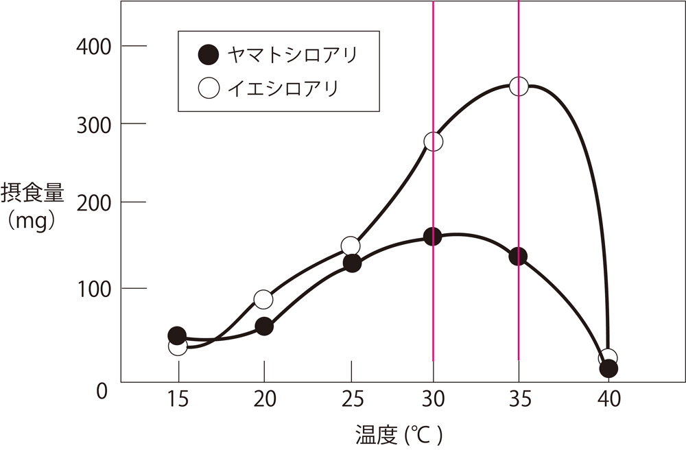 シロアリ・羽アリの発生時期と兆候について