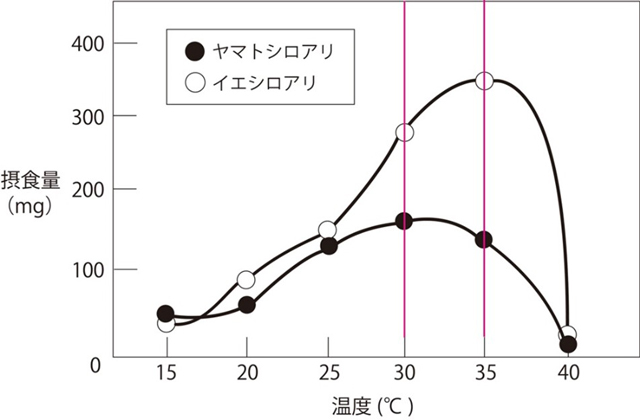 図1. 温度による摂食量の違い（出典：しろありNo.70）