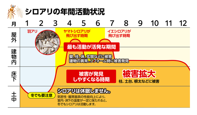 シロアリの年間活動状況