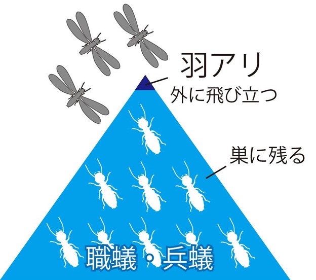 見えない場所で被害が進行している