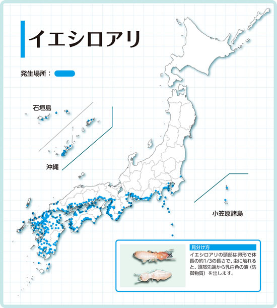 しろあり対策協会ホームページを参考