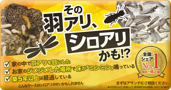 シロアリ駆除 株式会社アサンテ 東証一部上場