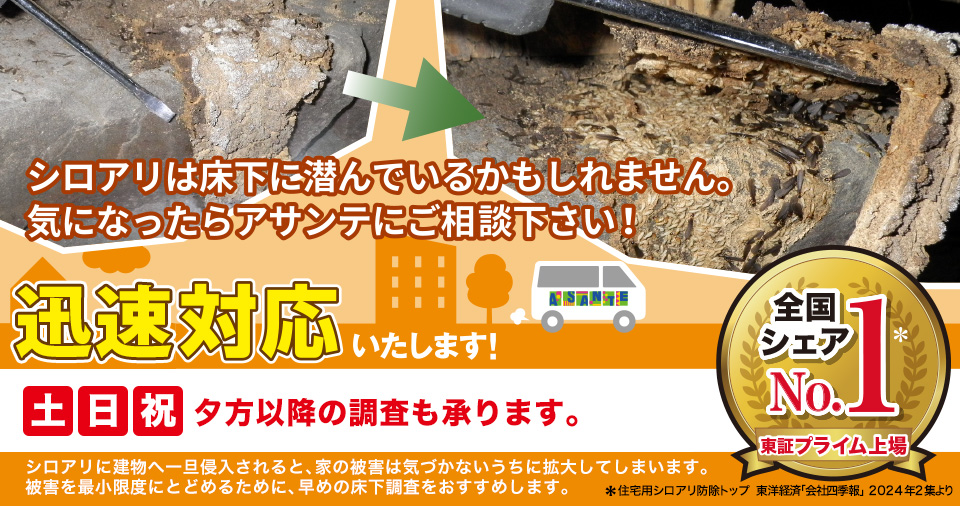 アサンテは即日対応もいたします！ 土・日・祝日も承りますので、ご連絡ください。被害を最小限度にとどめるために、早めの床下調査をおすすめします。