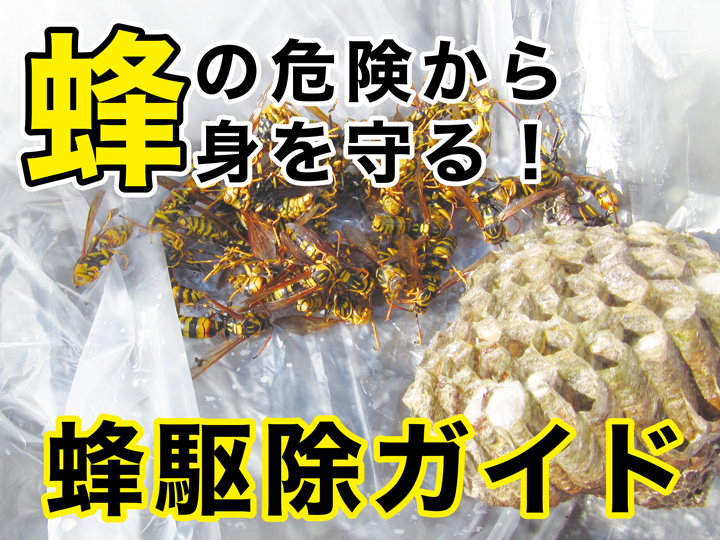 蜂の危険から身を守る！蜂駆除ガイド