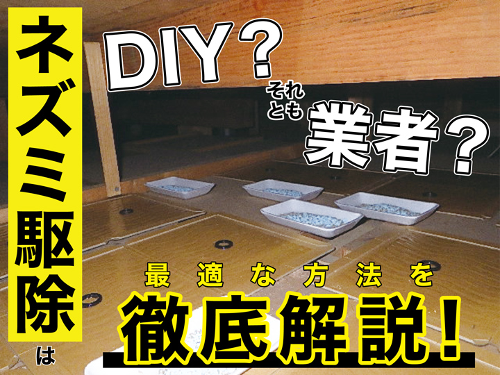 ネズミ駆除はDIY？それとも業者？最適な方法を徹底解説！