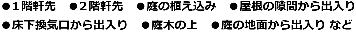 ●1階軒先●2階軒先 ●庭の植込み ●屋根の隙間から出入り ●床下換気口から出入り ●庭木の上 ●庭の地面から出入り など