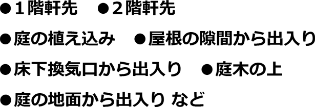 ●1階軒先●2階軒先 ●庭の植込み ●屋根の隙間から出入り ●床下換気口から出入り ●庭木の上 ●庭の地面から出入り など