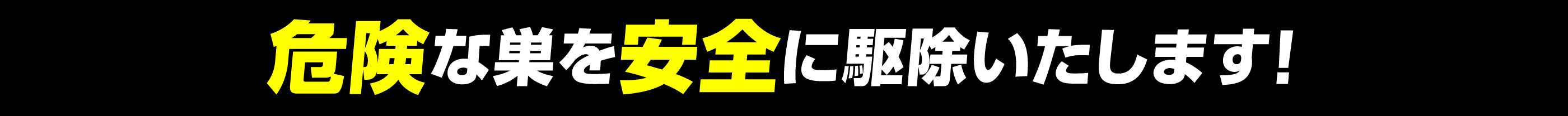 危険な巣を安全に駆除いたします！