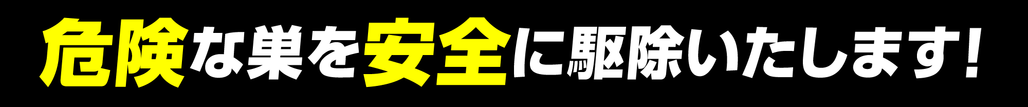 危険な巣を安全に駆除いたします！