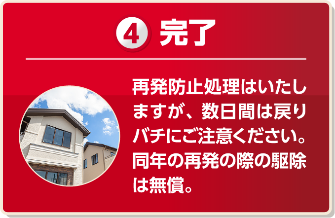 完了 再発防止処理は致しますが、数日間は戻りバチにご注意ください。同年の再発の際の駆除は無償。