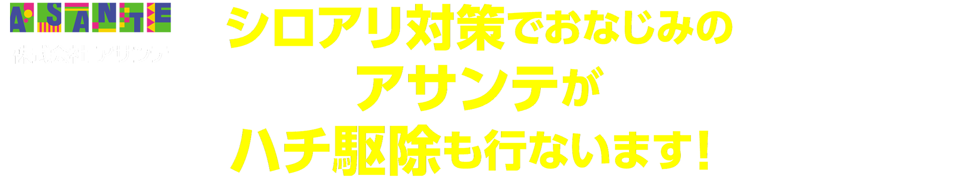 おかげさまで創業50周年 シロアリ対策でおなじみのアサンテがハチ駆除も行います！